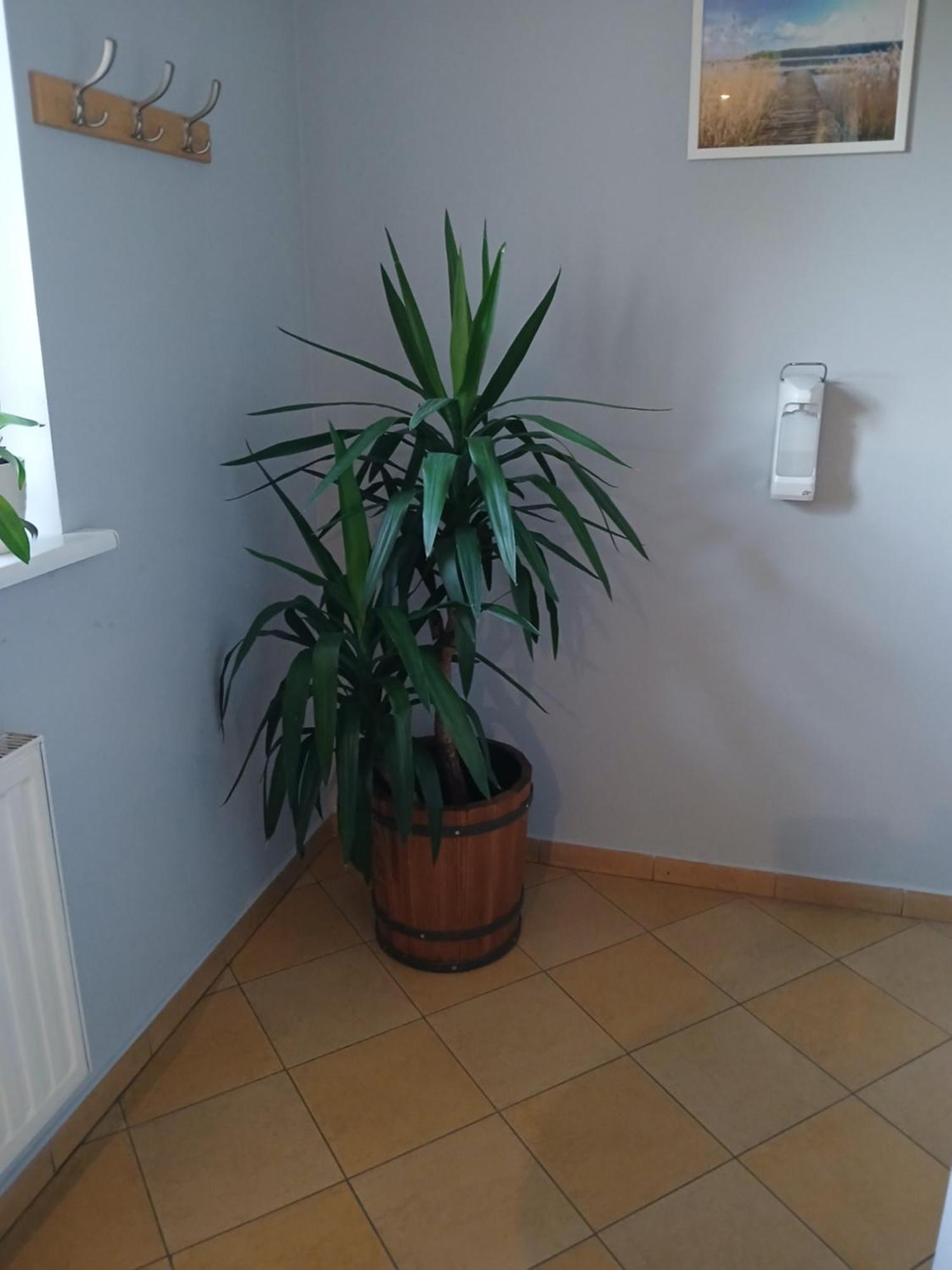 Dom Brama Mazur Bed & Breakfast Ostroda Exterior photo